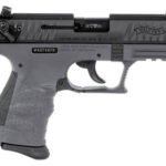 Walther P22 22 LR Tungsten/Black 5120365